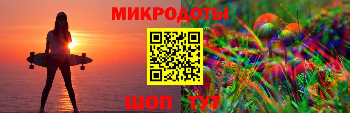 Галлюциногенные грибы Psilocybe Лесосибирск